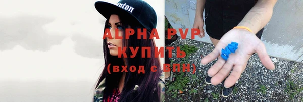 прущая мука Каменка