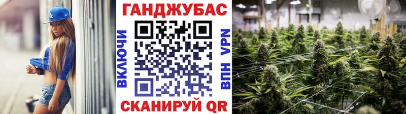 Шишки марихуана марихуана  Купить закладки  Ветлуга 